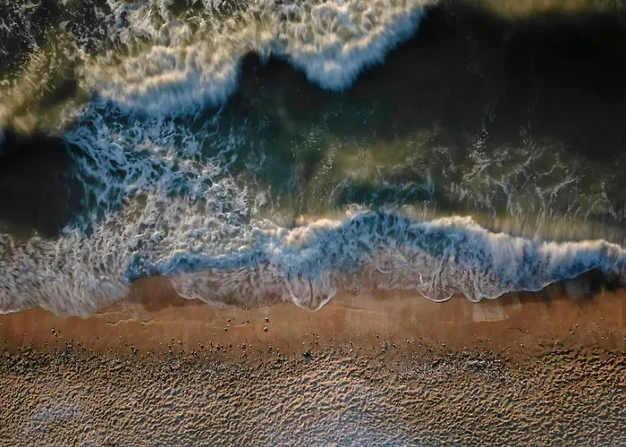 Olive - 4 Bdr - Garden - Centre * Deauville